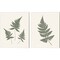 Forest Shadows Green on Cream by Moira Hershey 12" x 15" Canvas Wall Art (Set of 2)